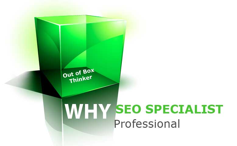 why seo specialist professional