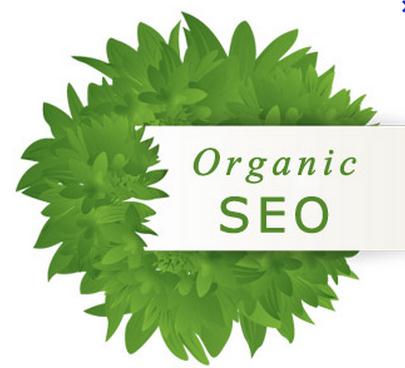 outsource seo services