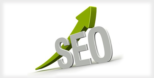 professional seo services