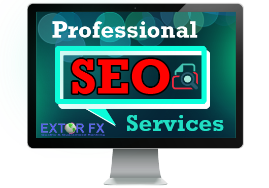 professionSEO-Services3