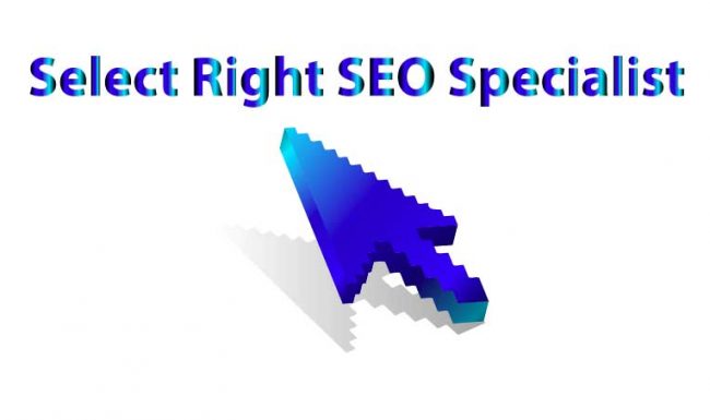 select right seo specialist