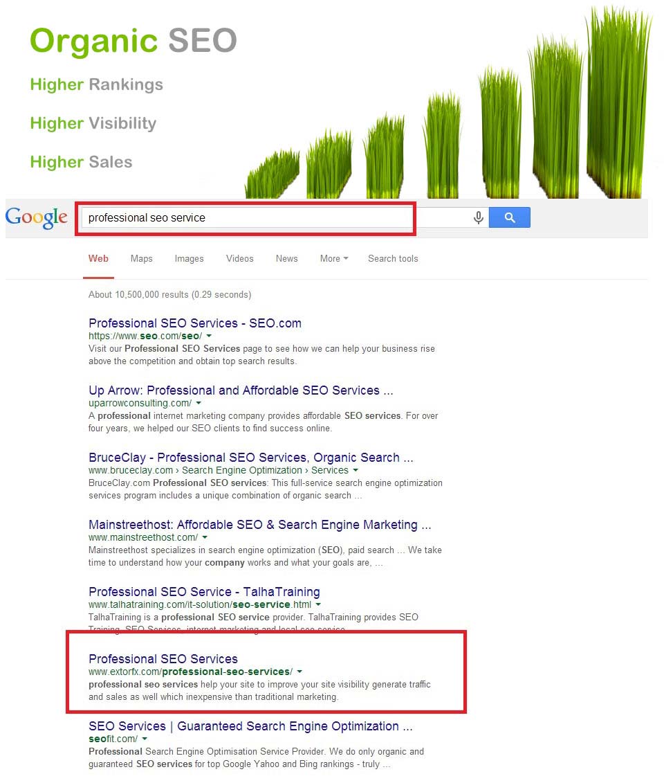 Organic Seo