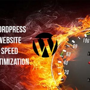 WordPress Speed Optimization
