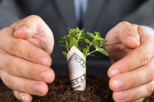 Domain-Monetization