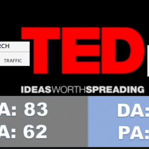 Guest post on Ted. com 2.3 Million traffic for $4